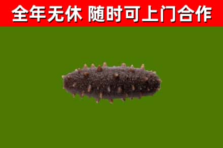 长海县烟酒回收干海参.jpg